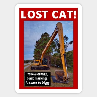 Lost CAT Sticker